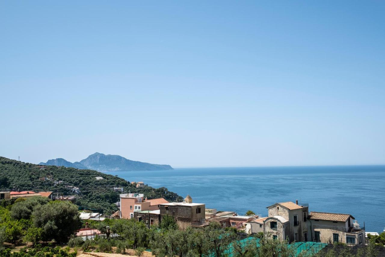 Neva Suites Massa Lubrense Sorrento Coast エクステリア 写真