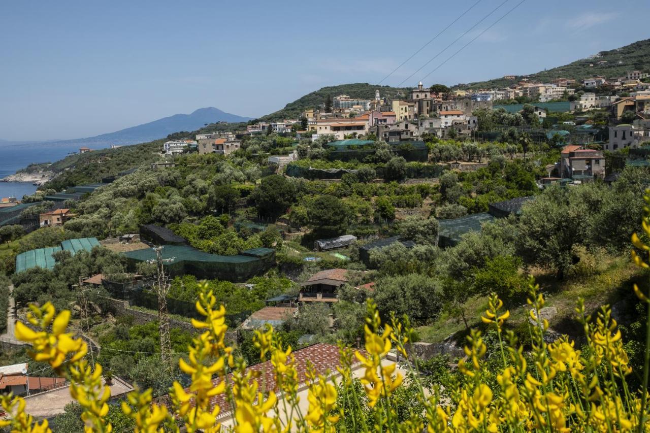 Neva Suites Massa Lubrense Sorrento Coast エクステリア 写真