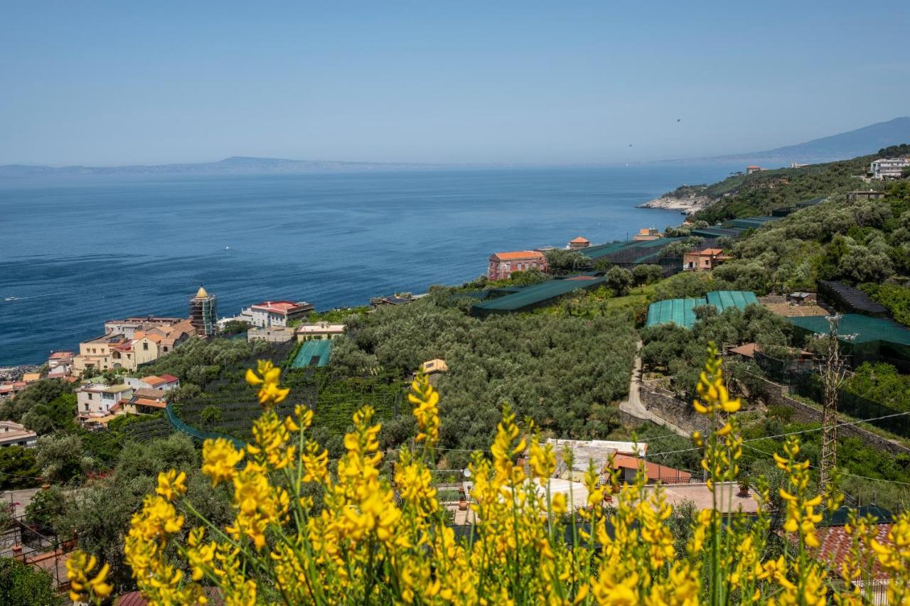 Neva Suites Massa Lubrense Sorrento Coast エクステリア 写真